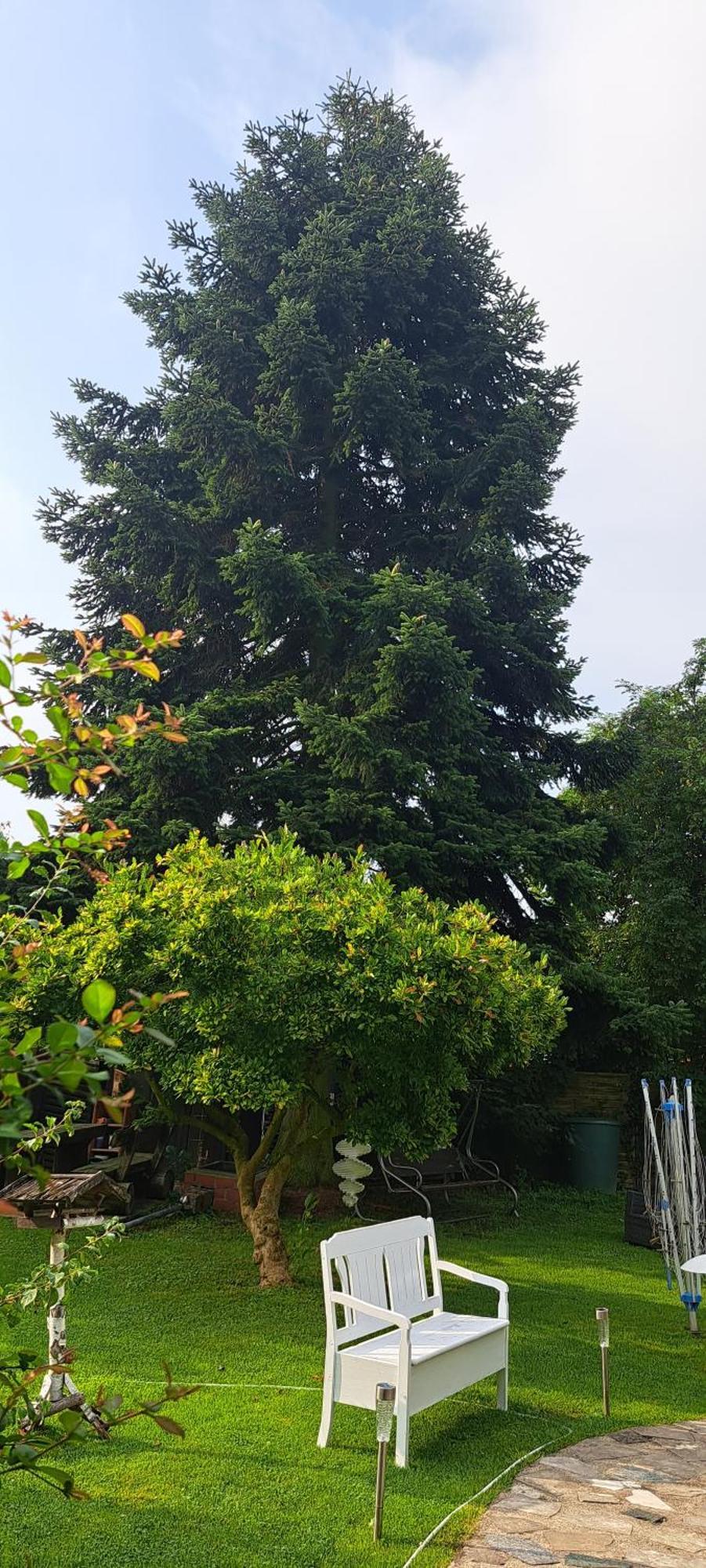 Bungalow An Der Tanne Mit Ueberdachter Terrasse Düsseldorf Kültér fotó