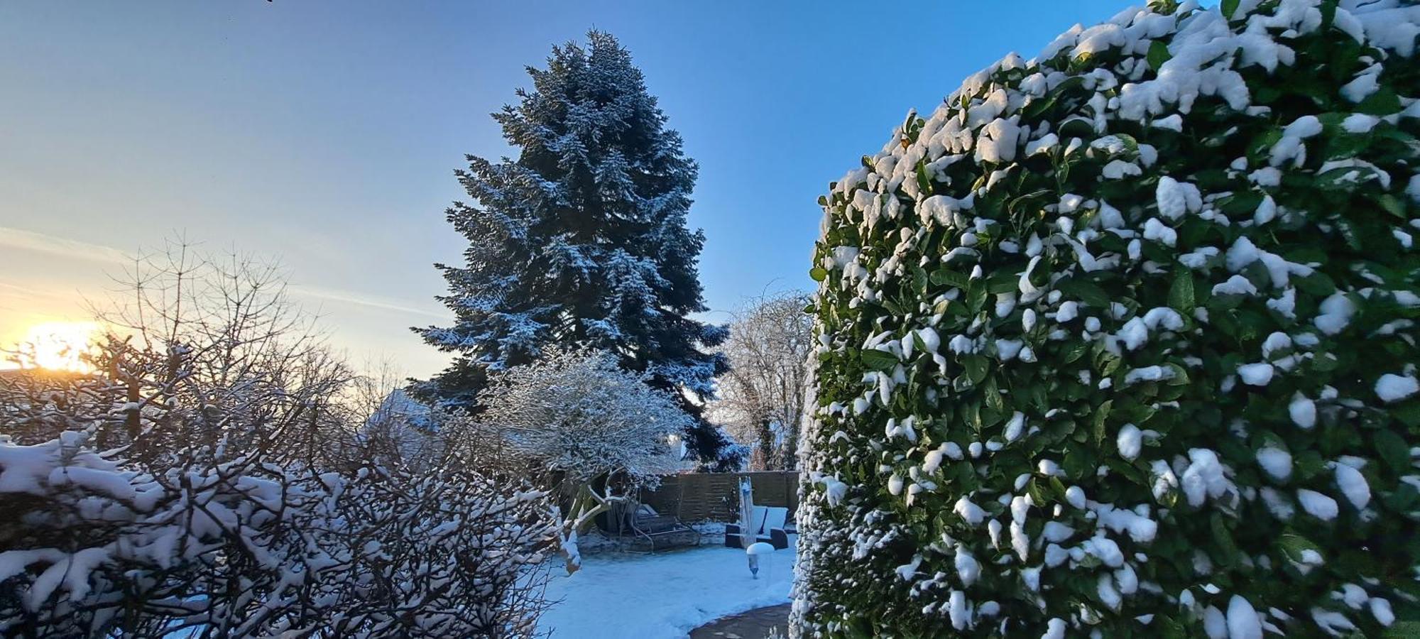 Bungalow An Der Tanne Mit Ueberdachter Terrasse Düsseldorf Kültér fotó